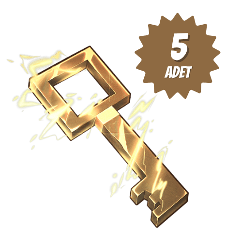 5x Şimşek Anahtarı